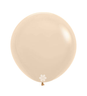 R24 - Pastel Matte Nude - 661 - 10 Pcs